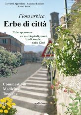 Erbe di città - Flora urbica