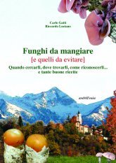 Funghi da mangiare - e quelli da evitare, quando cercarli, dove trovarli, come riconoscerli..e tante buone ricette