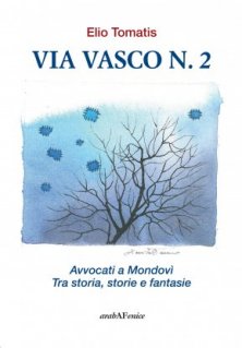 Via Vasco n.2 - Avvocati a Mondovì. Tra storia, storie e fantasie.